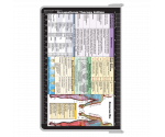 WhiteCoat Clipboard® - White Occupational Therapy Edition